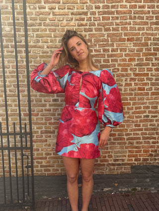 De Roze/Blauwe Laagam jurk