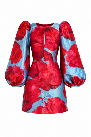 De Roze/Blauwe Laagam jurk